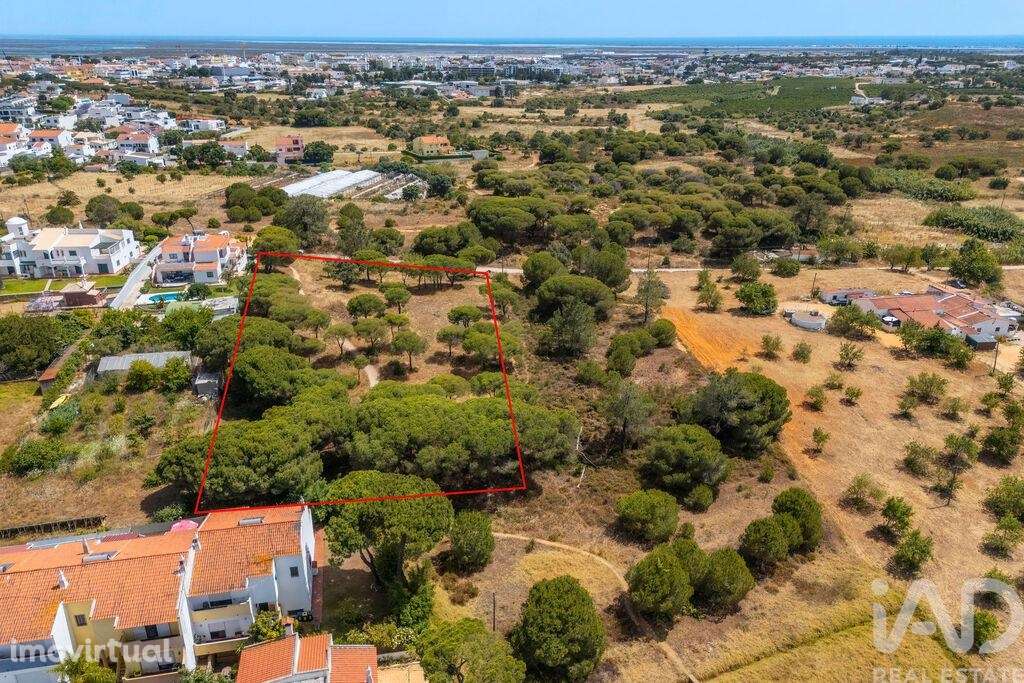 Terreno em Montenegro de 5320,00 m2 - Grande imagem: 5/27