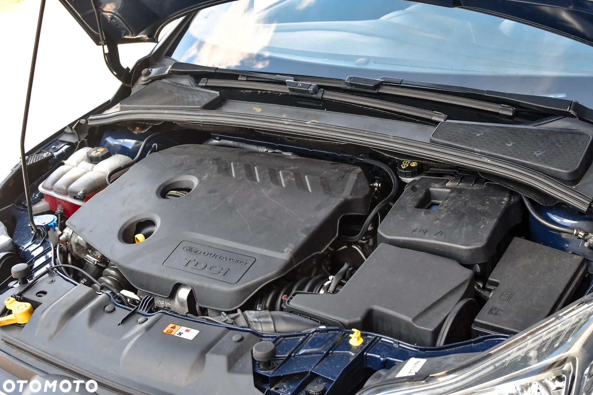 Ford Focus 1.6 TDCi Trend ECOnetic - 11