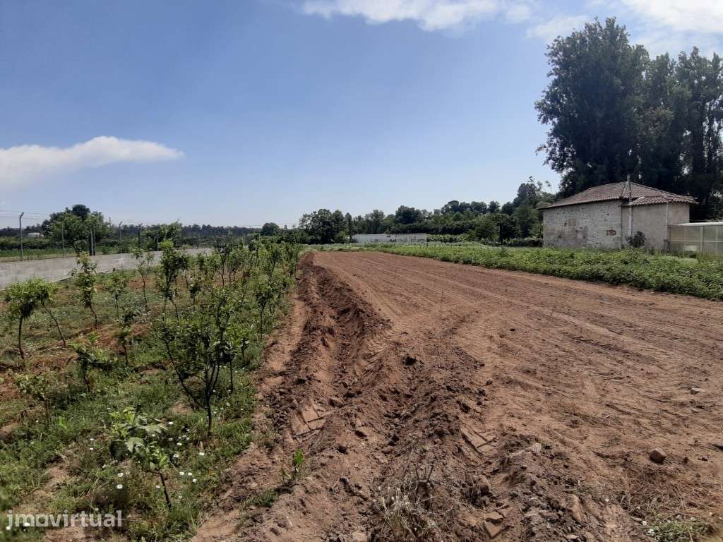 Terreno Agrícola / Ecológico - Rendufe - Grande imagem: 3/13