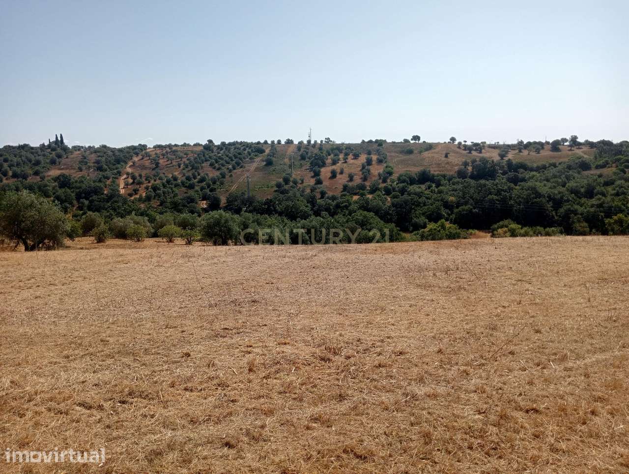 Terreno Agrícola em Brogueira, Torres Novas - 13640m² - Grande imagem: 2/10