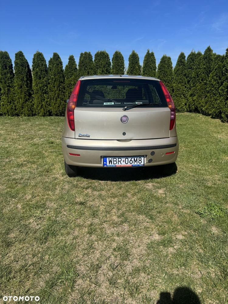 Fiat Punto - 6