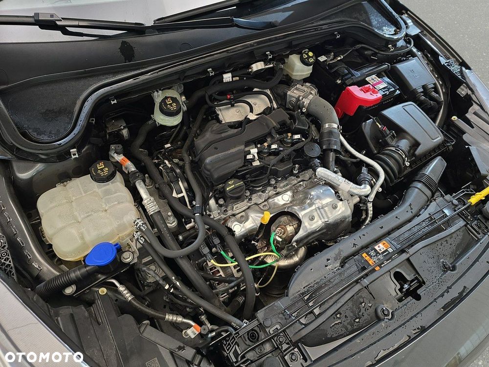 Ford Focus - 14