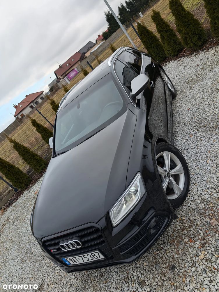 Audi SQ5 3.0 TDI Plus Quattro Tiptr - 5