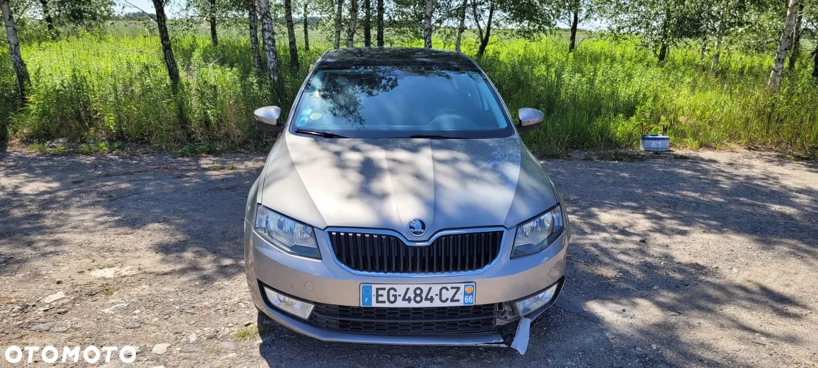 Skoda Octavia 2.0 TDI Edition DSG - 1