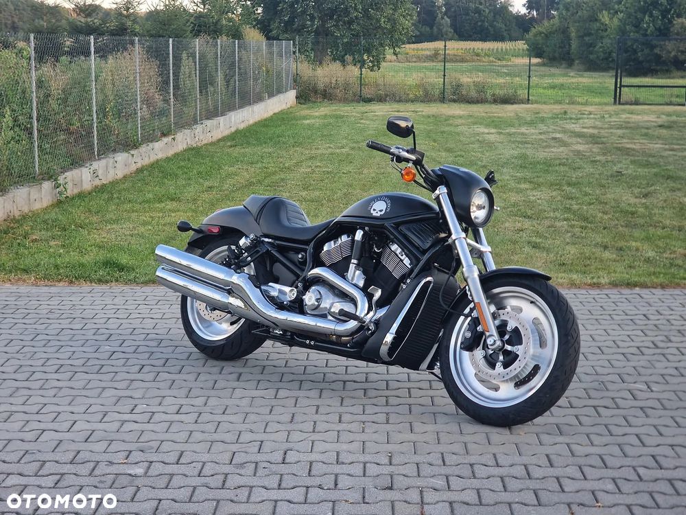 Harley-Davidson V-Rod Street Rod - 3
