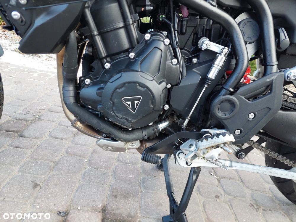 Triumph Tiger - 13