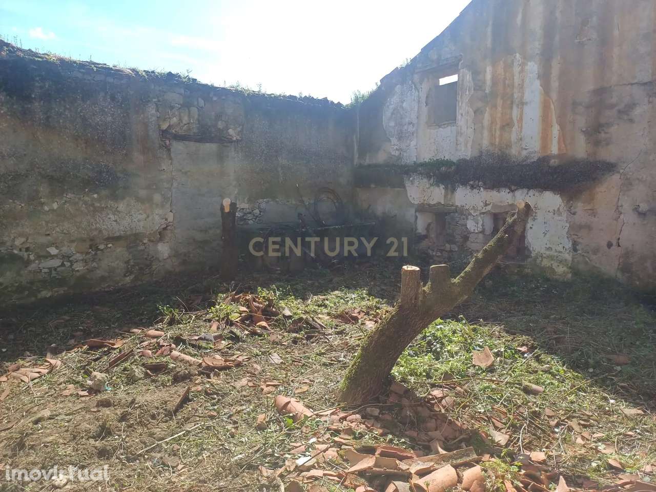 Arrecadação em terreno urbano em Almoster - Grande imagem: 5/6