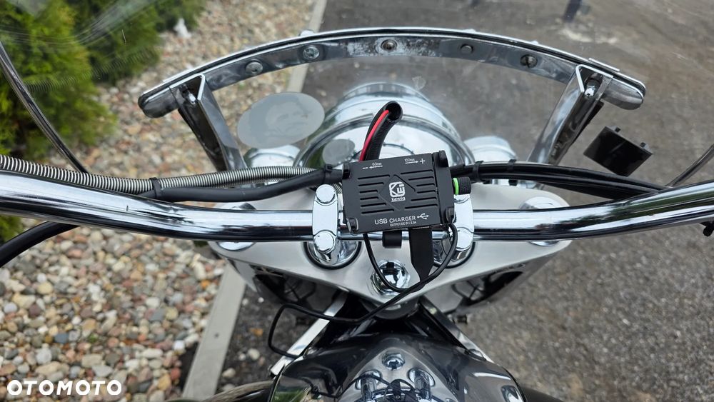 Suzuki Intruder - 19