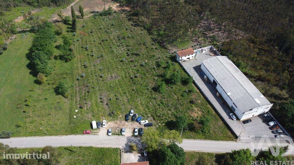 Terreno Agrícola em Sangalhos - Grande imagem: 4/6