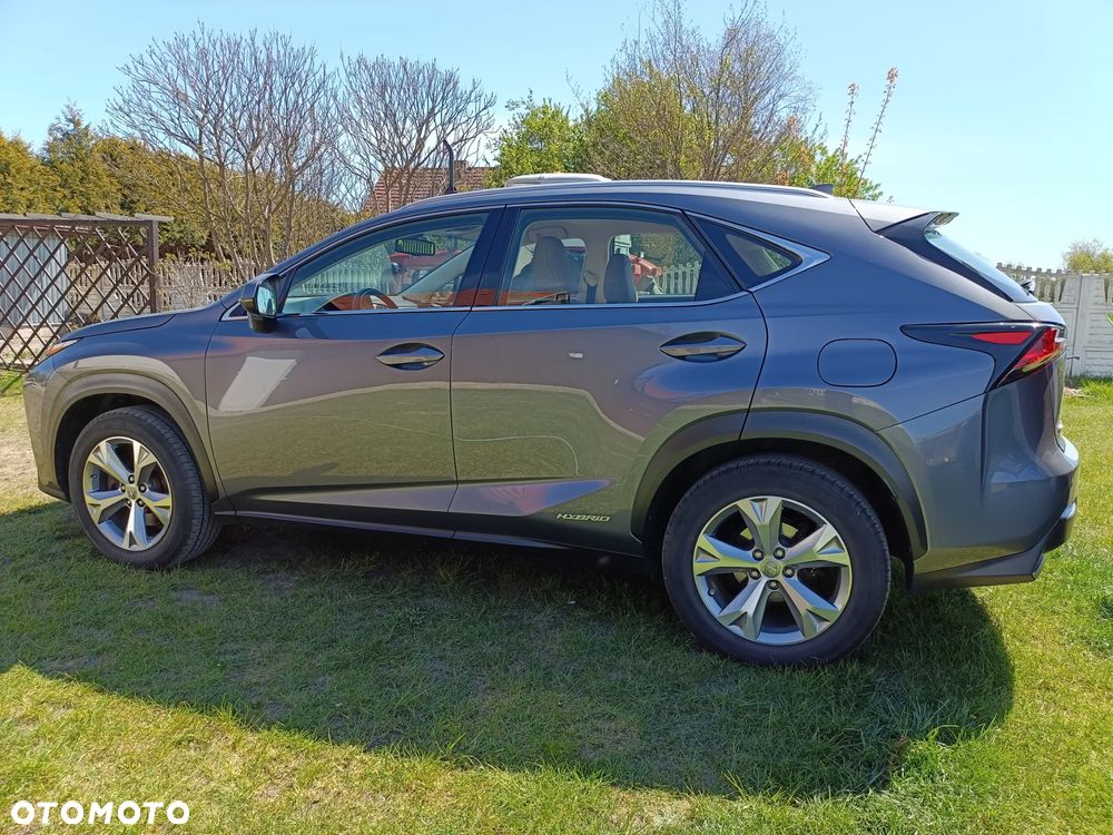 Lexus NX 300h Elegance AWD - 5