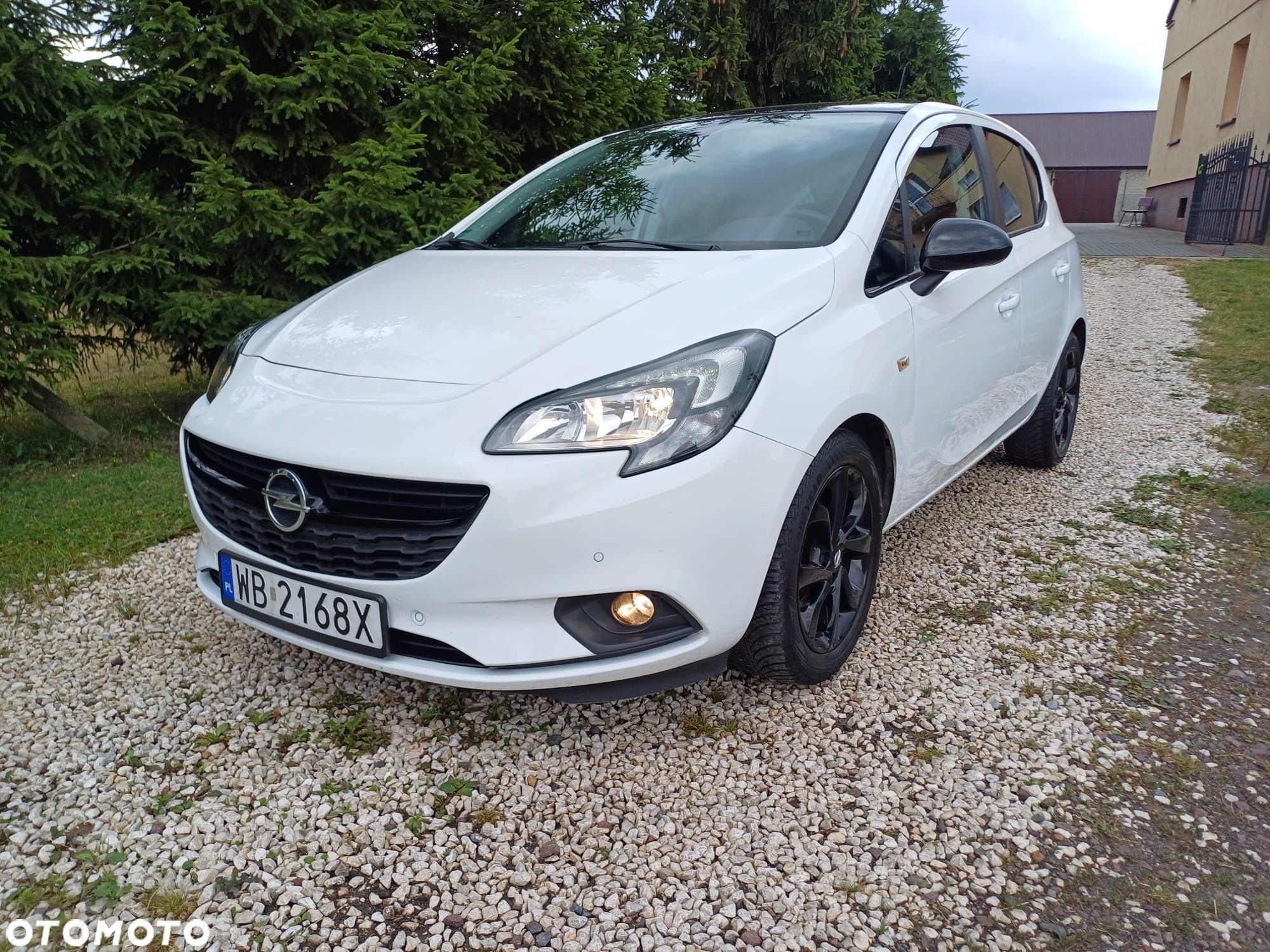 Opel Corsa 1.4 Color Edition S&S - 1
