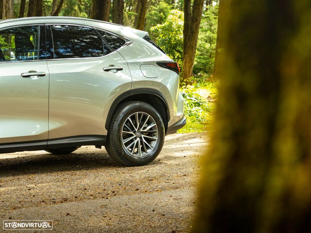 Lexus NX 350h Executive+ - 20