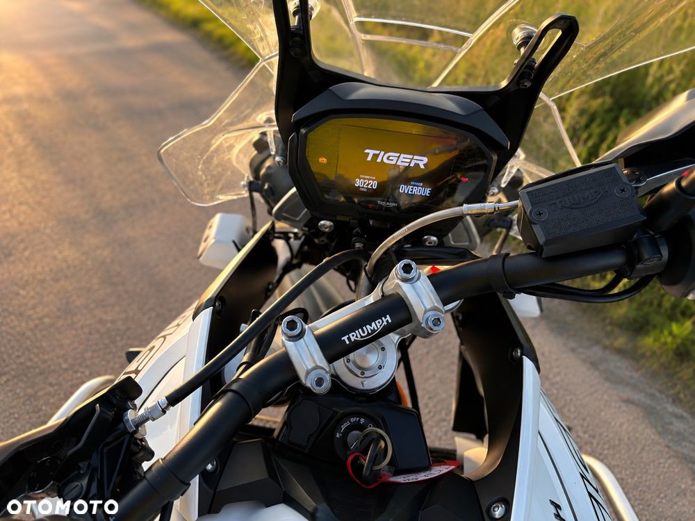 Triumph Tiger - 4