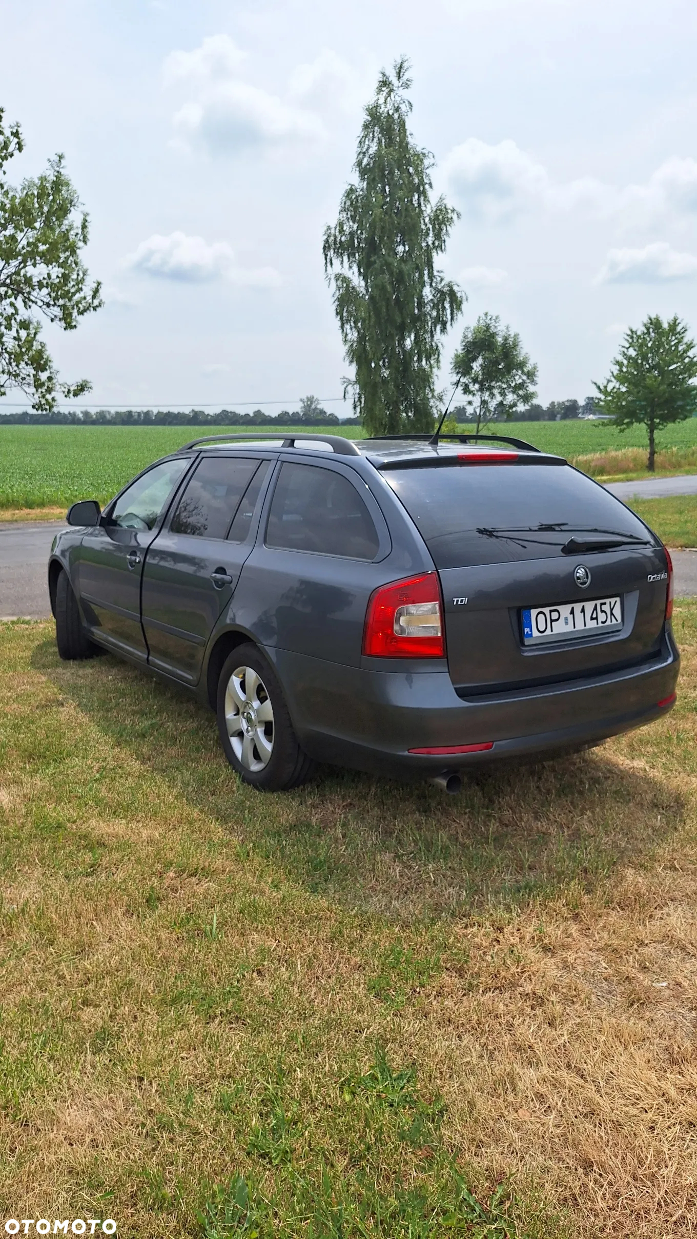 Skoda Octavia Combi 1.6 TDI DPF Classic - 8