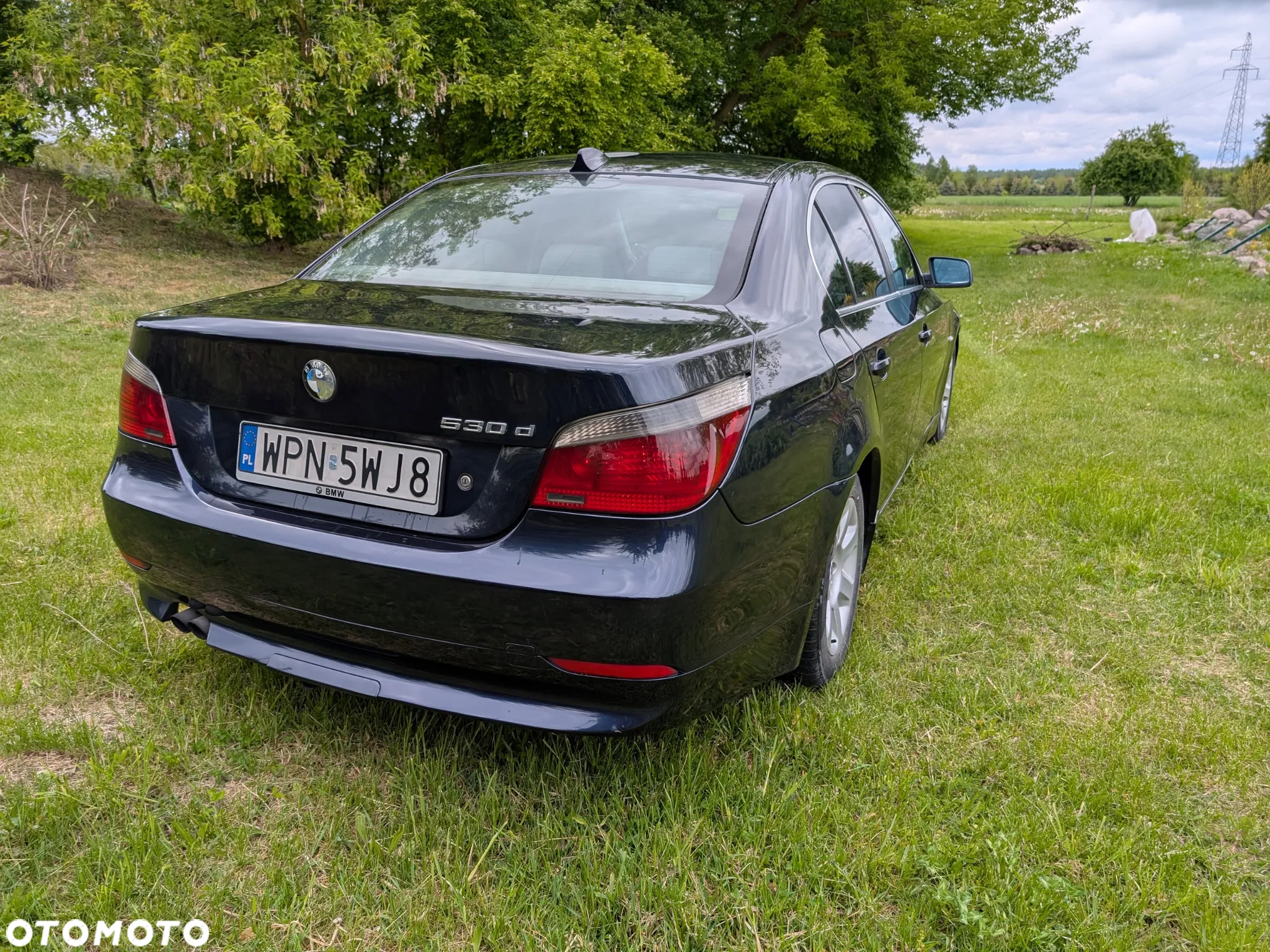 BMW Seria 5 530d - 6