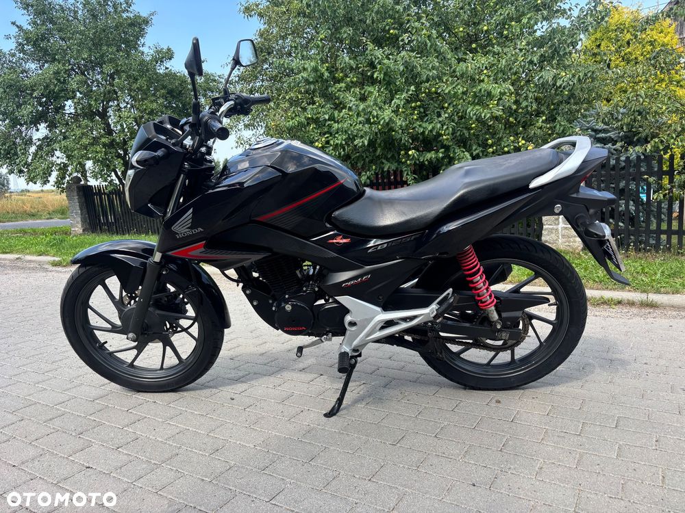 Honda CBF - 5