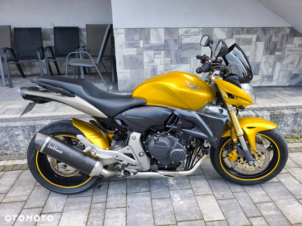 Honda Hornet
