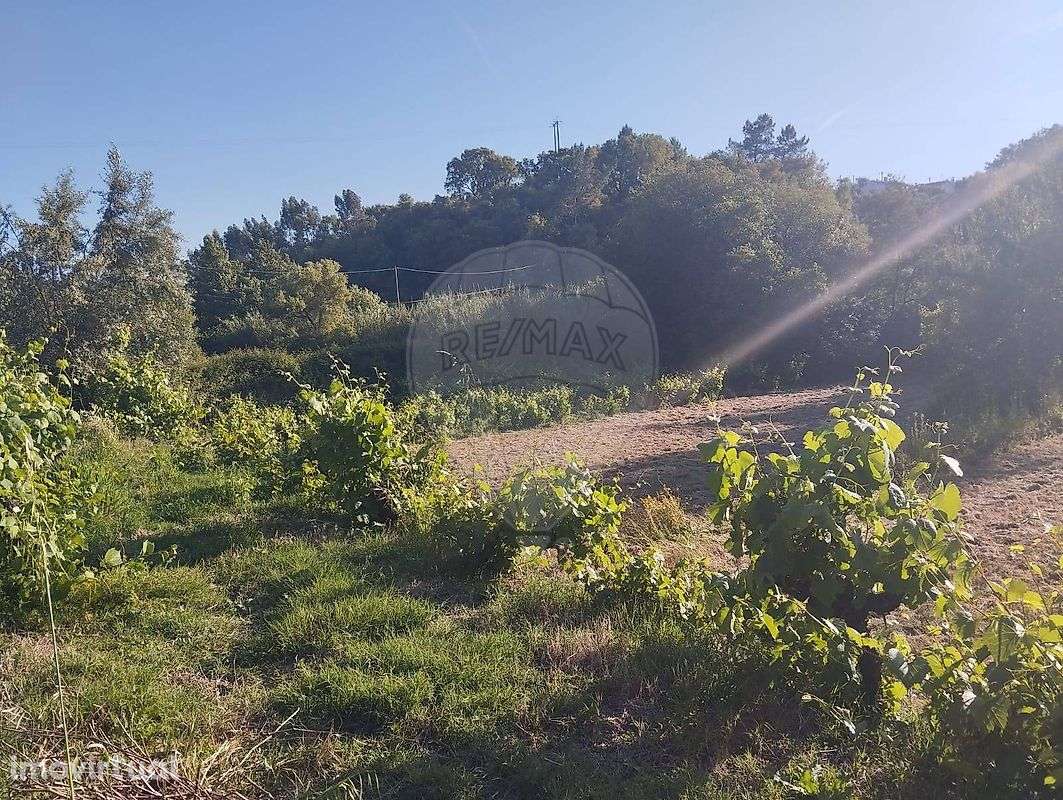 Terreno  para venda - Grande imagem: 4/10