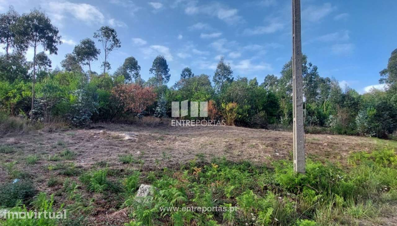 Venda de terreno florestal c/ 12000m², Vila Fria, Viana do Castelo - Grande imagem: 2/30