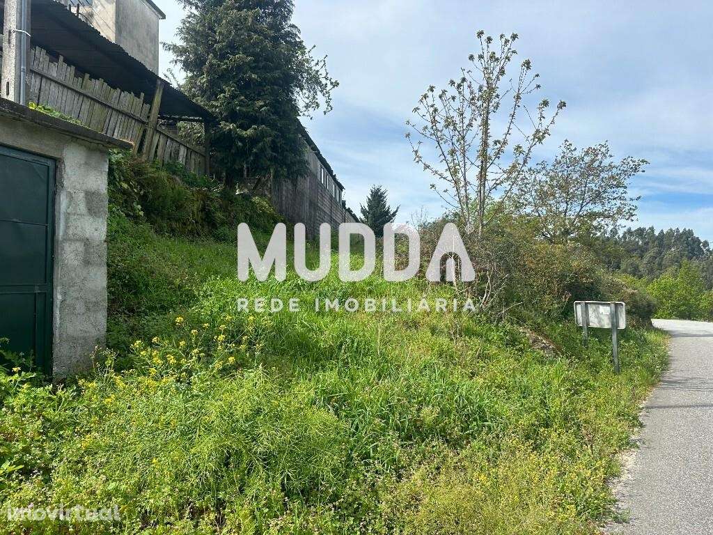 Lote para construção, Cambra, Vouzela - Grande imagem: 4/4