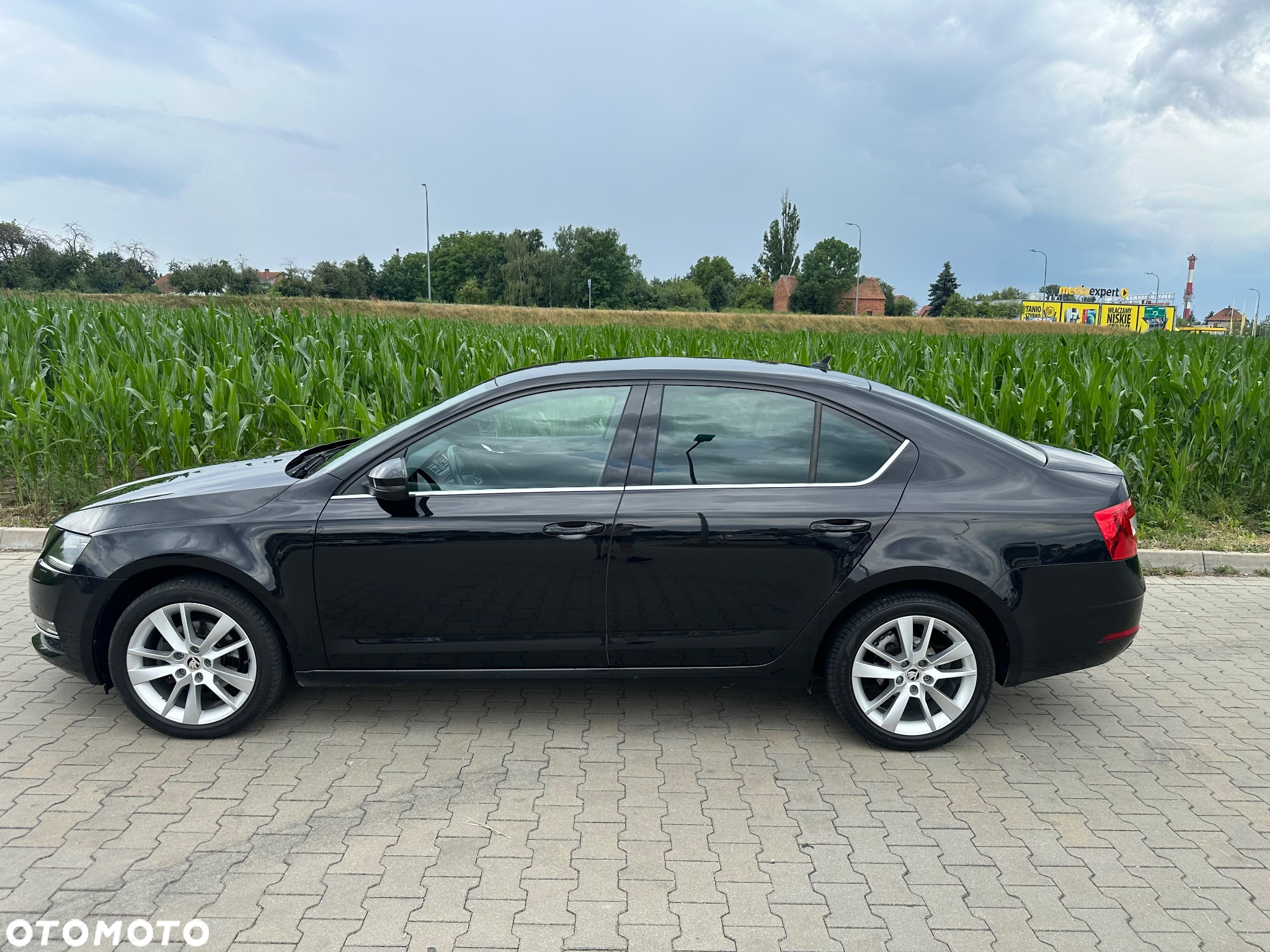 Skoda Octavia - 18