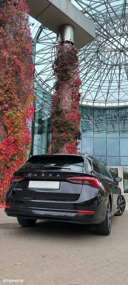 Skoda Octavia - 3