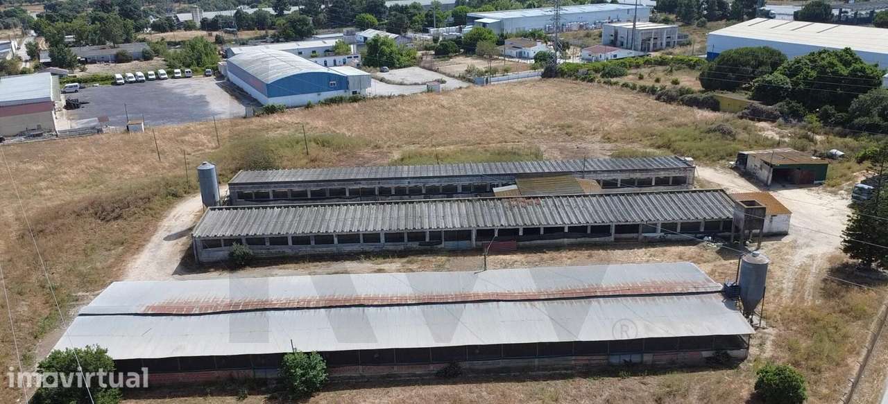 Exploração Agropecuária Licenciada com 1,88 ha – Palmela (Vale de Cant - Grande imagem: 3/22