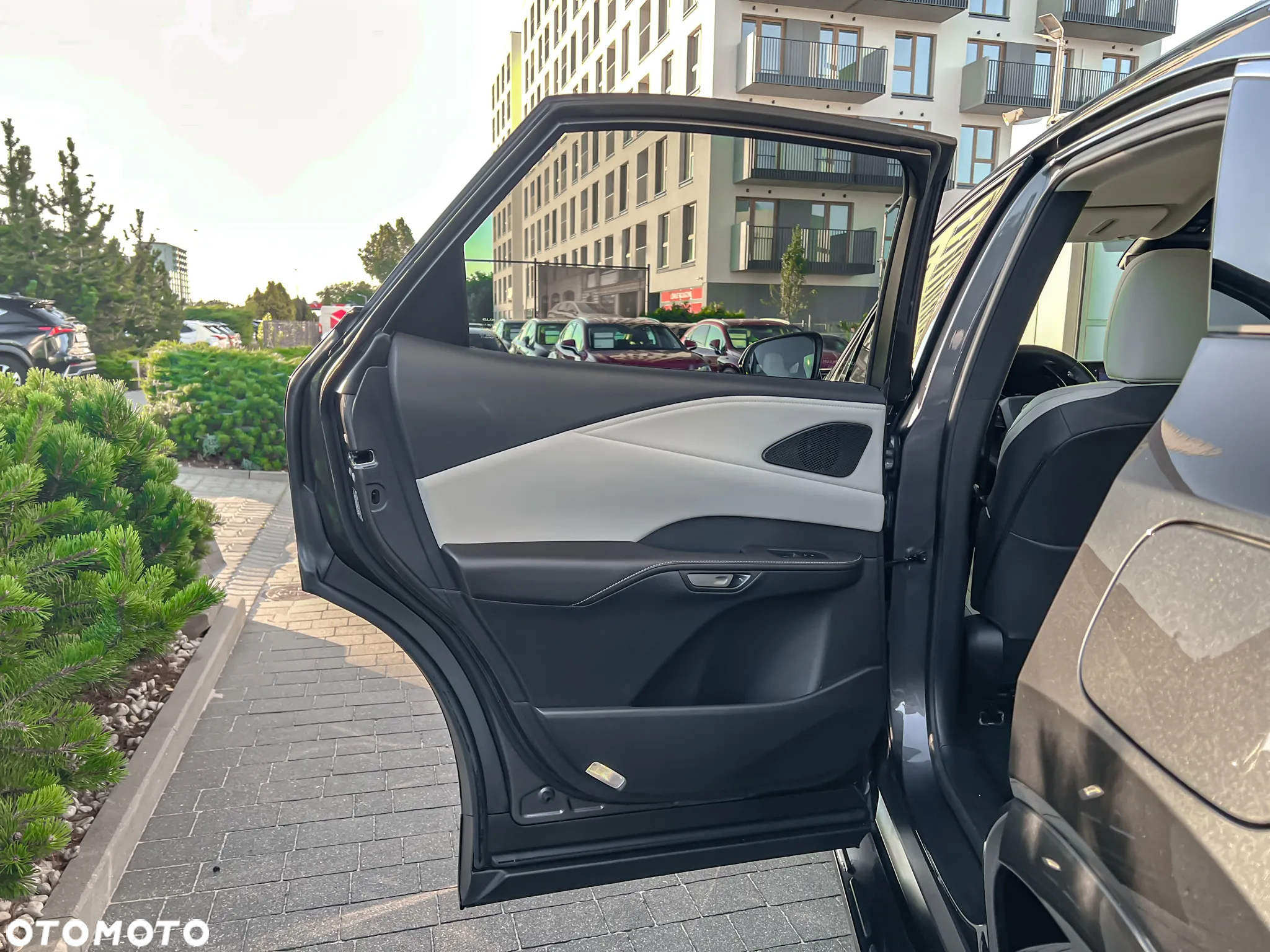 Lexus RX - 19