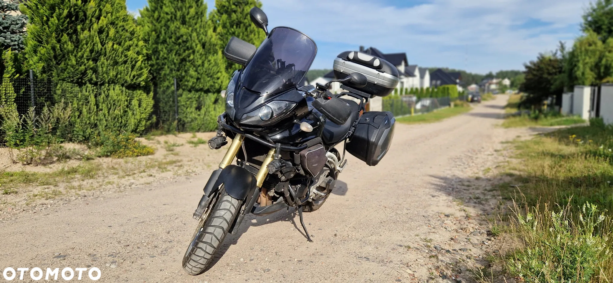 Triumph Tiger - 5