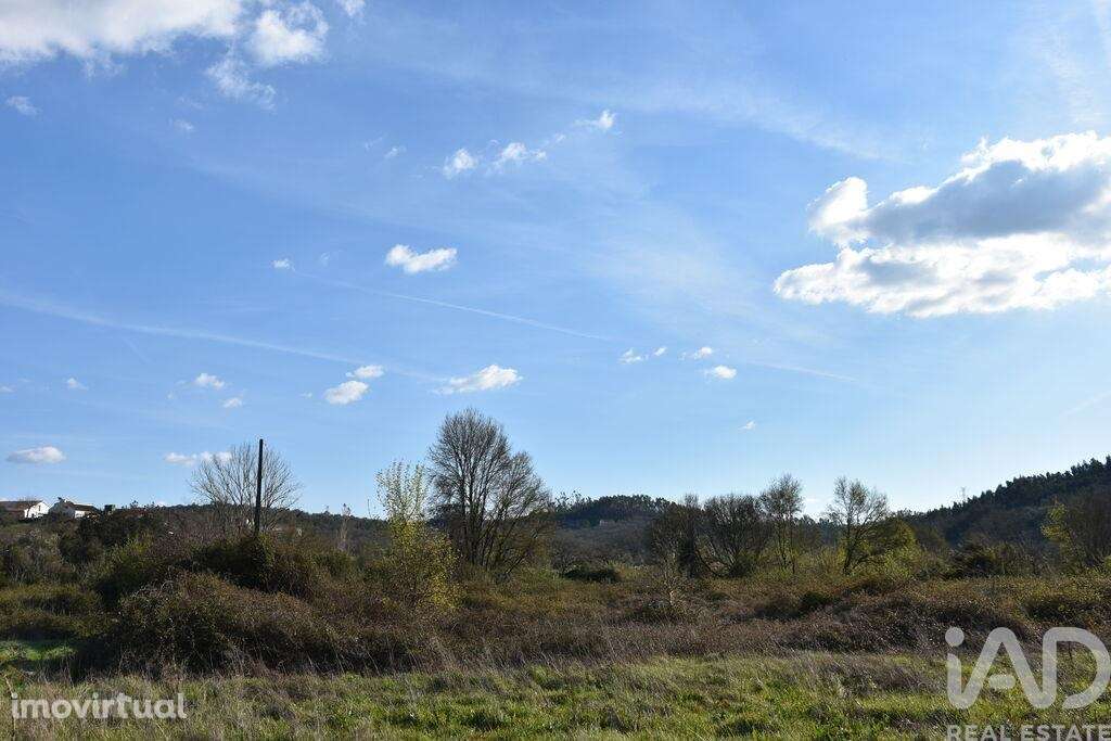 Terreno Agrícola em Chãos - Grande imagem: 3/13