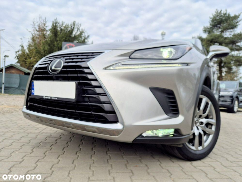 Lexus NX - 13
