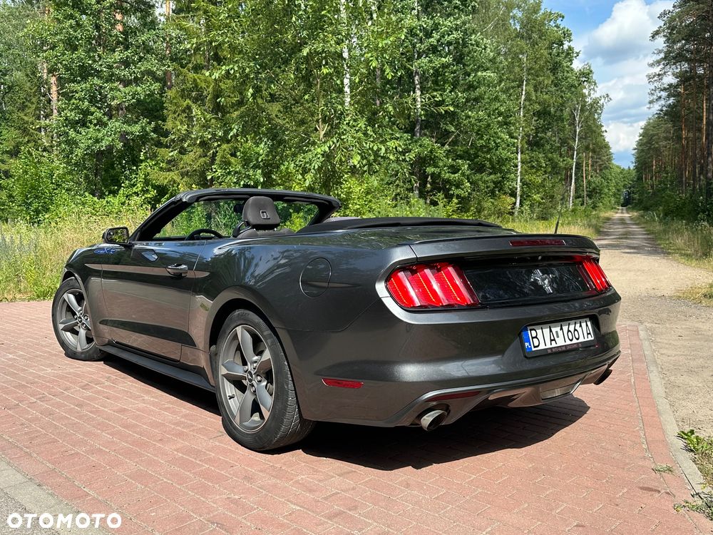 Ford Mustang - 13