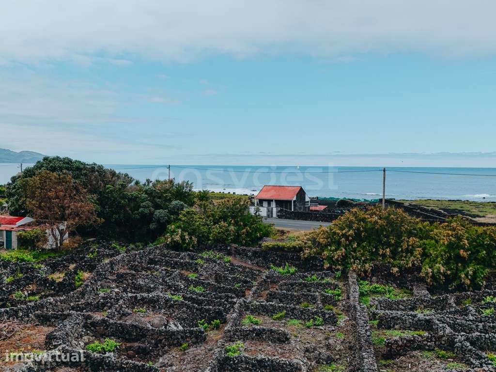 Terreno Único com Vista Mar e Montanha, Formosinha - Madalena do Pico - Grande imagem: 4/17