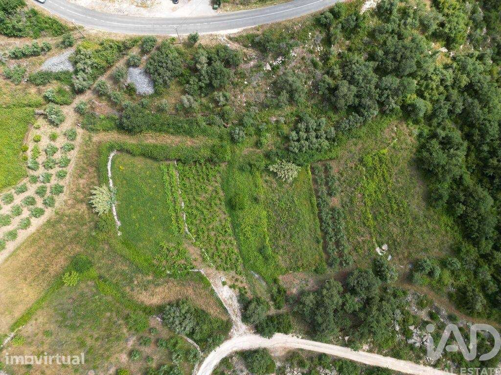 Terreno em Alqueidão da Serra - Grande imagem: 3/6