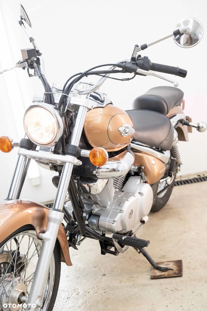 Suzuki Intruder - 10