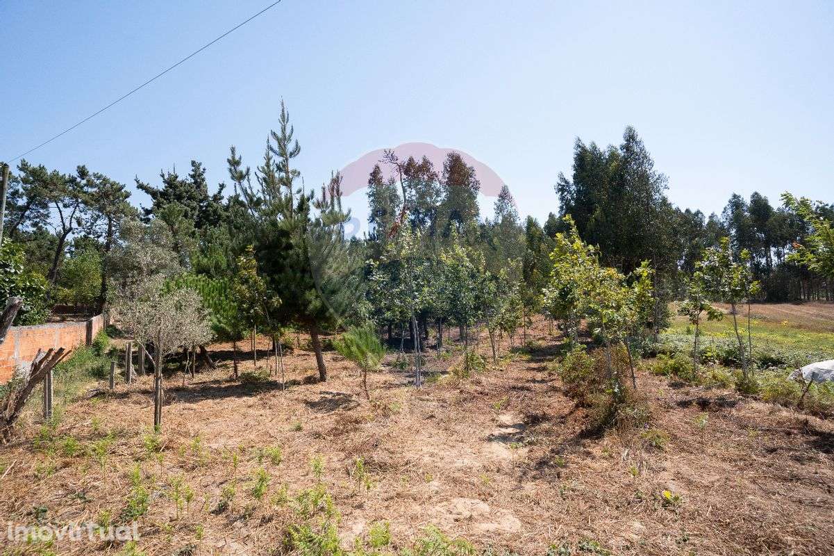 Terreno  para venda - Grande imagem: 2/16