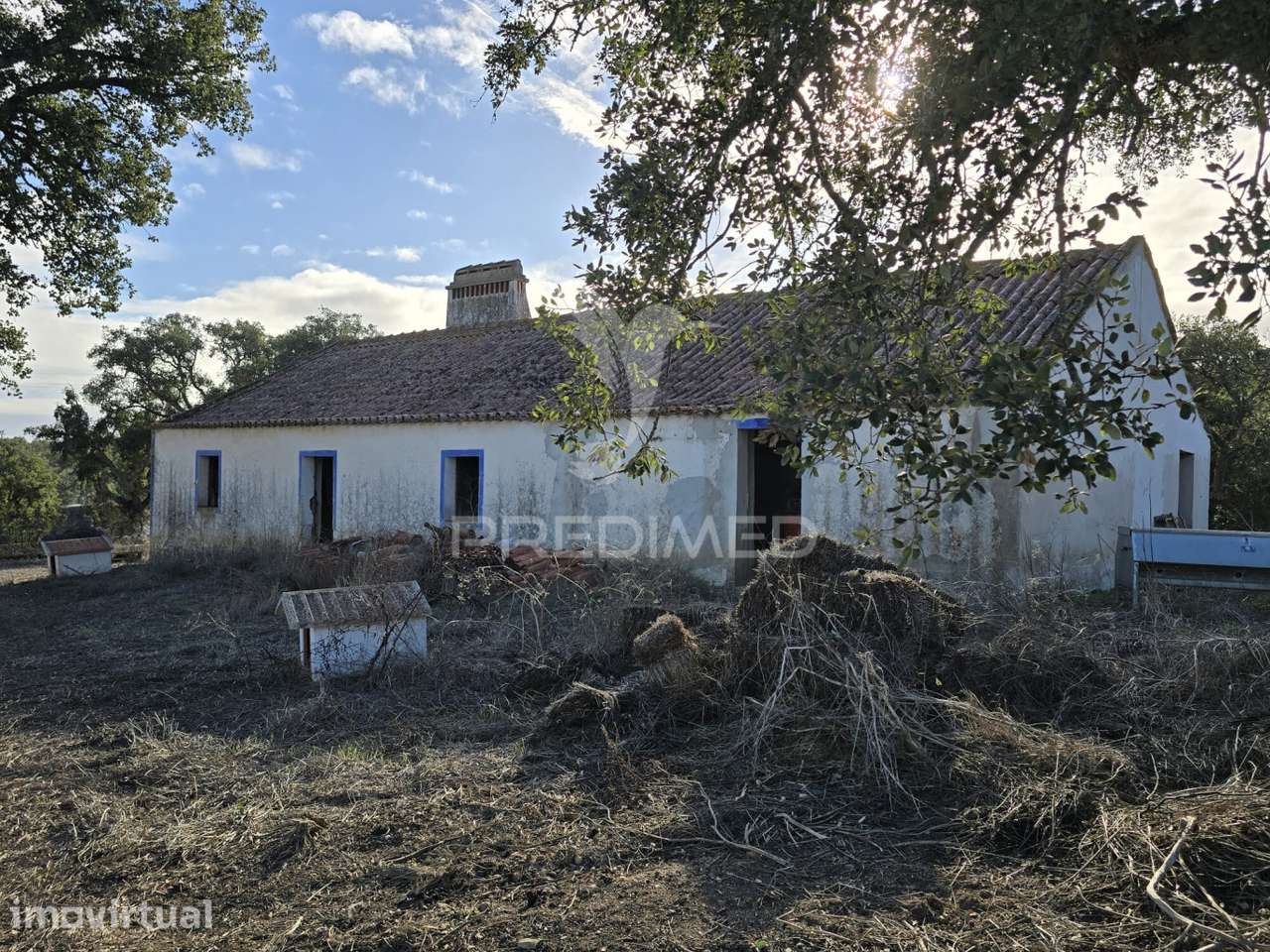 Monte no Litoral Alentejano com casa para recuperar - Grande imagem: 3/39
