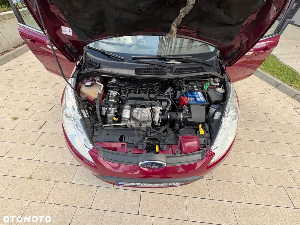 Ford Fiesta 1.6 TDCI Blues - 25
