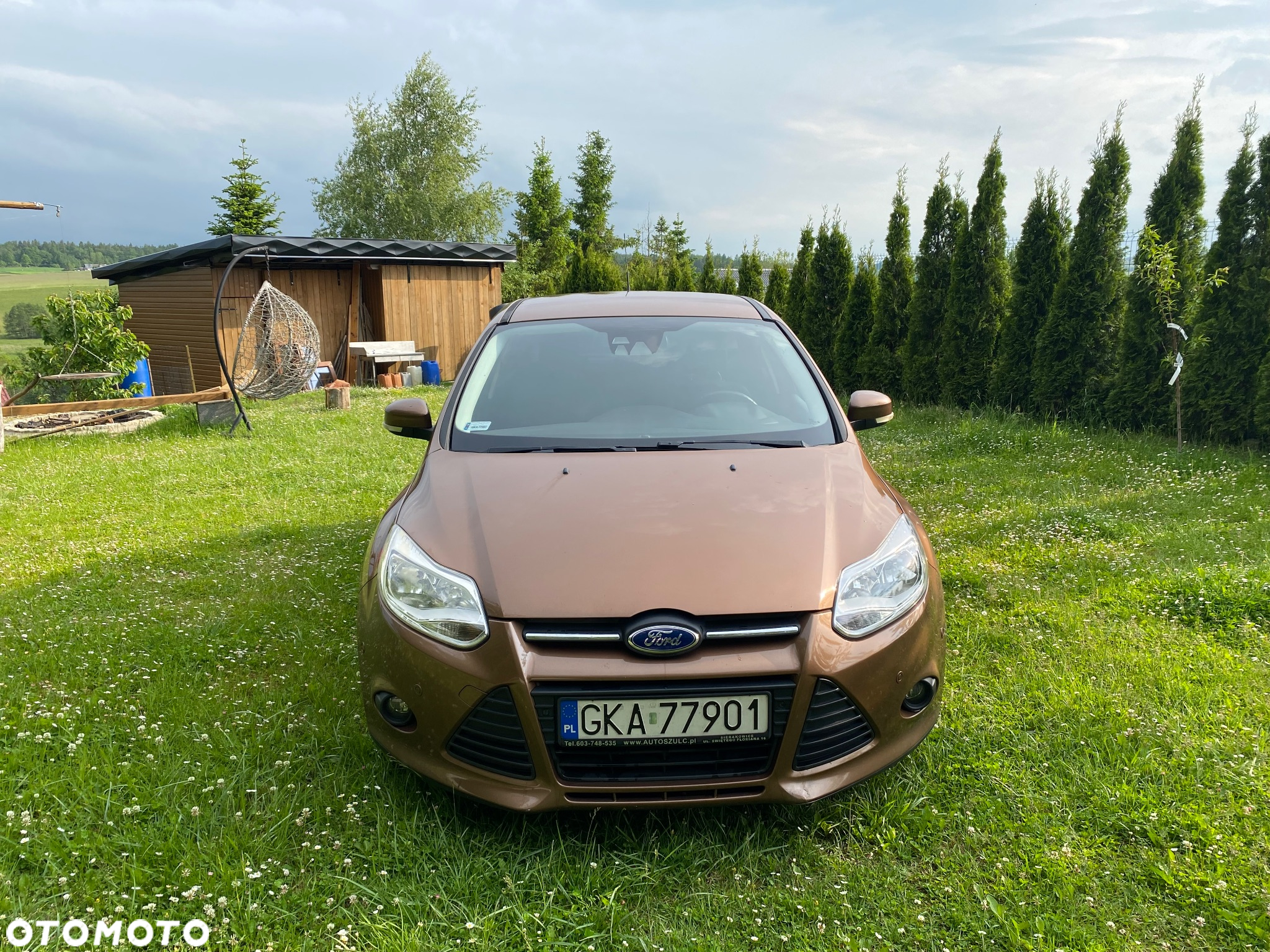 Ford Focus - 8