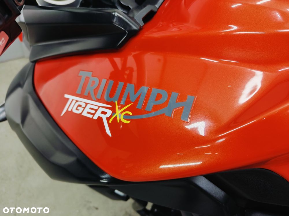 Triumph Tiger - 28