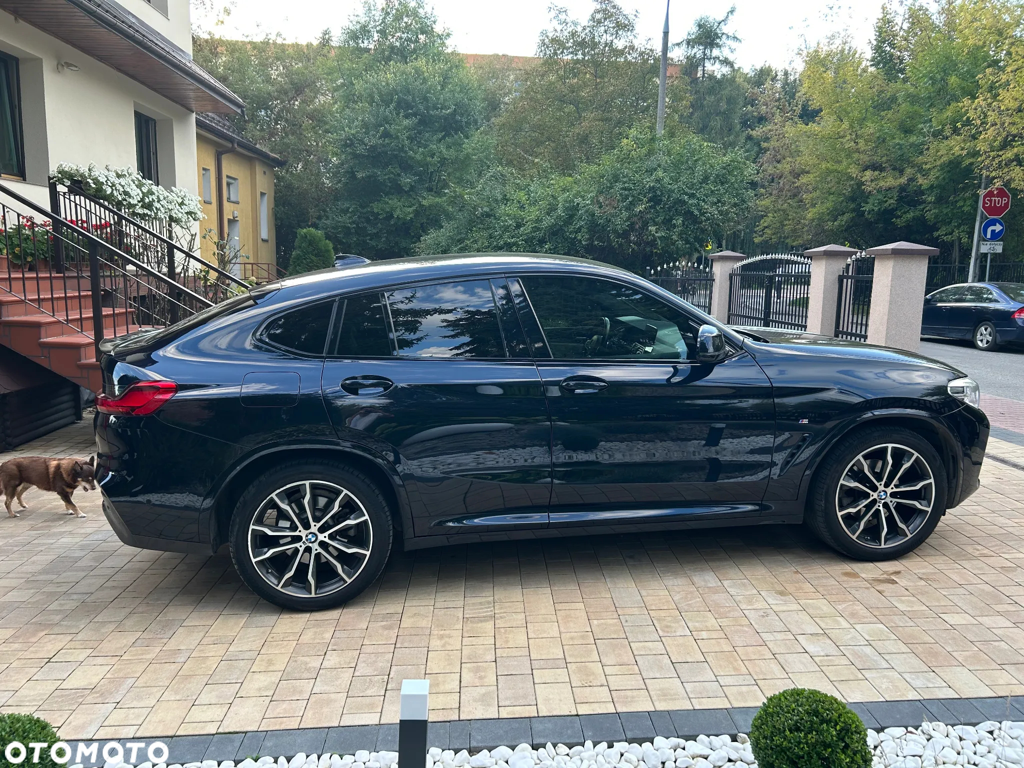 BMW X4 xDrive20d M Sport sport - 4