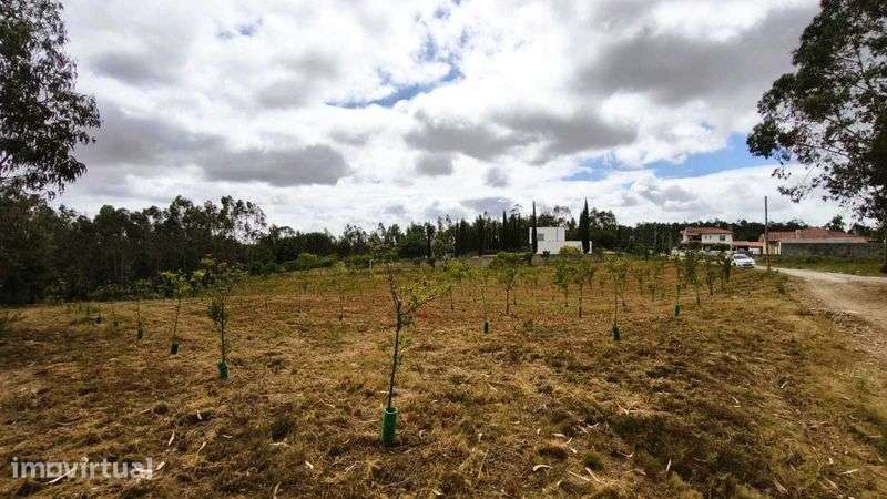 Terreno com elvado potencial de construção  – Pinheiro da Bemposta - Grande imagem: 3/6