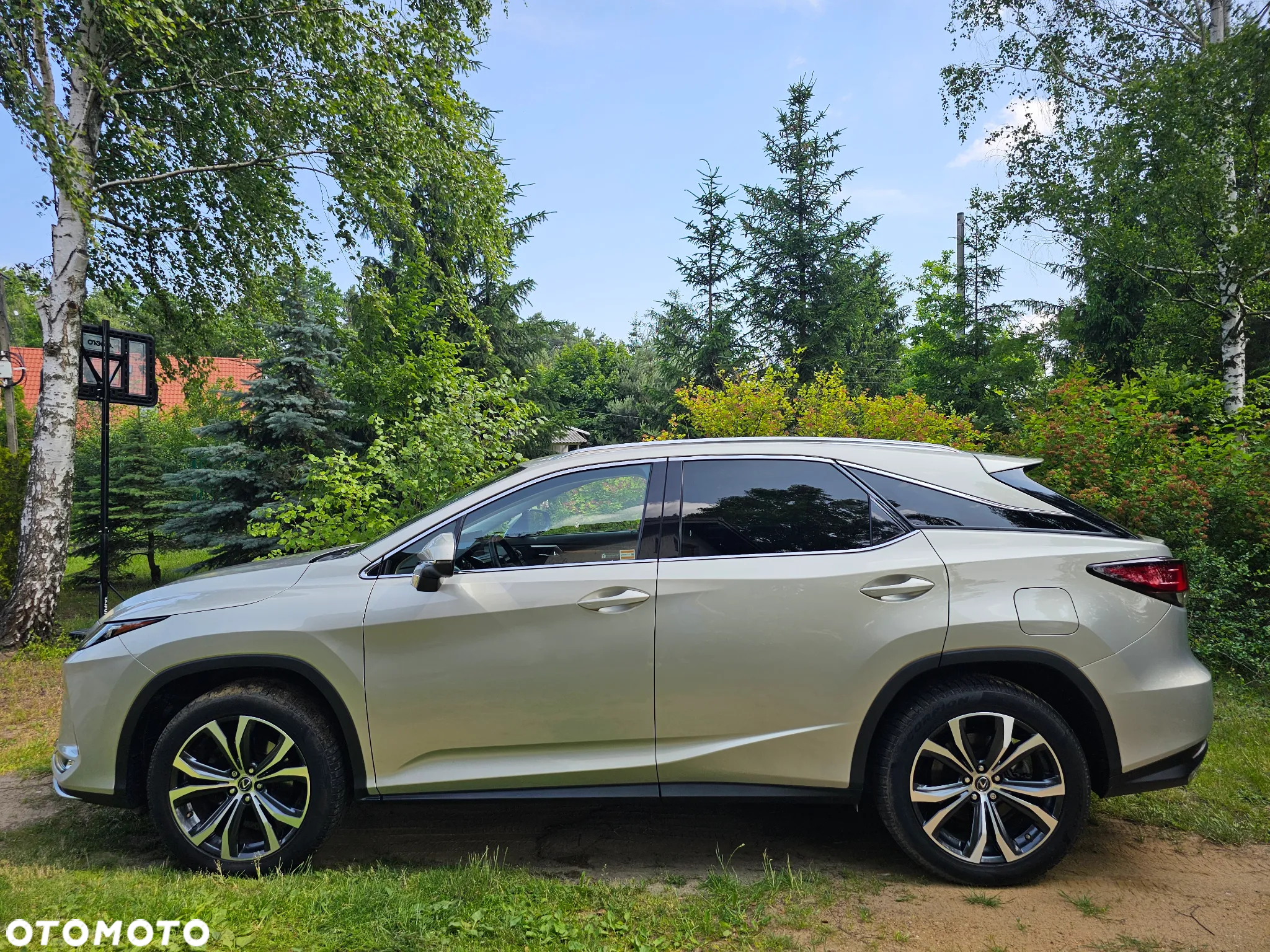 Lexus RX 300 Business Edition + - 10