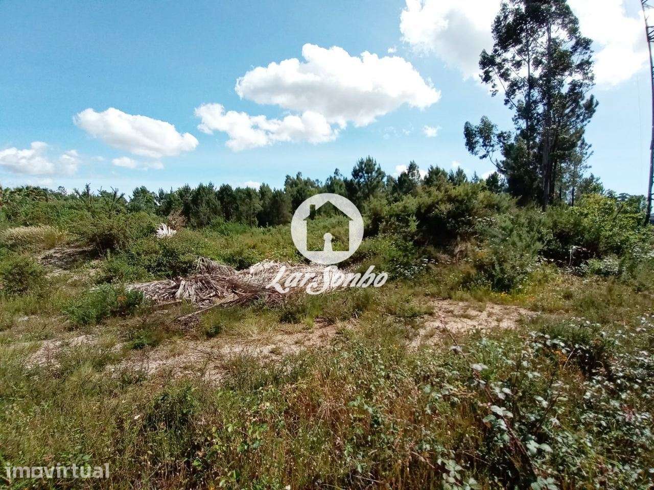 Terreno industrial para construção - Grande imagem: 4/22