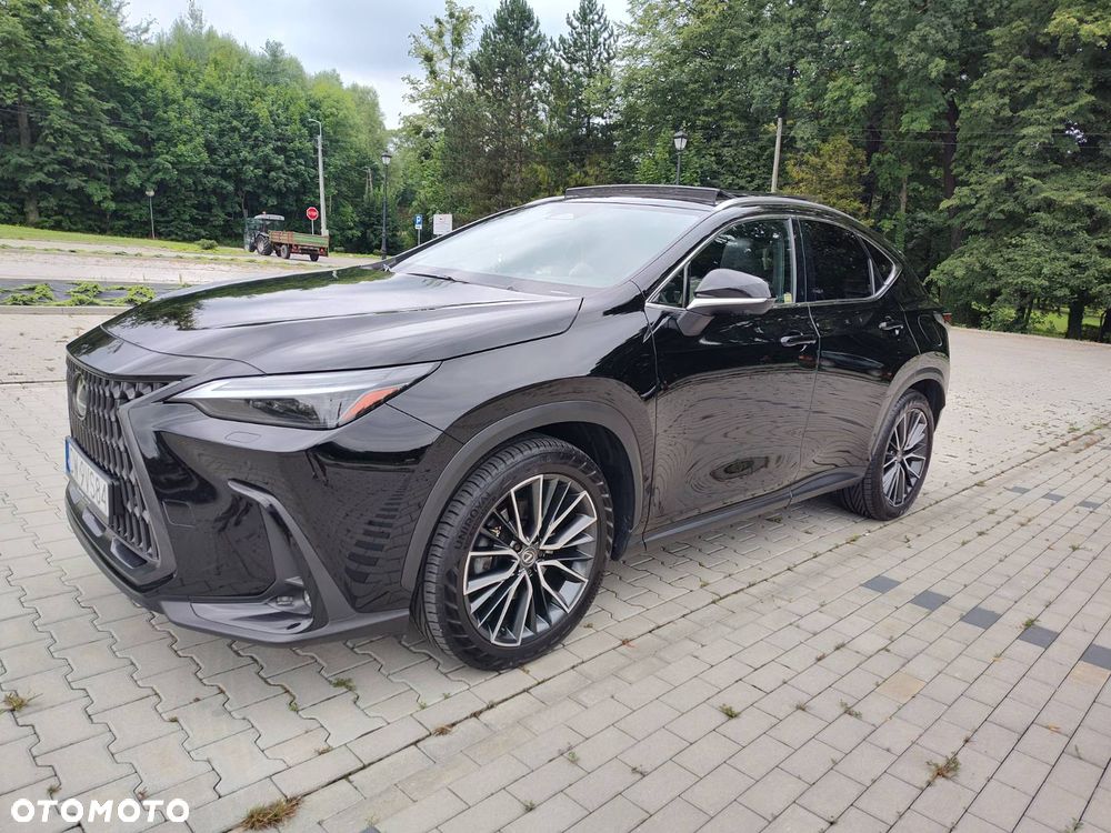 Lexus NX - 3