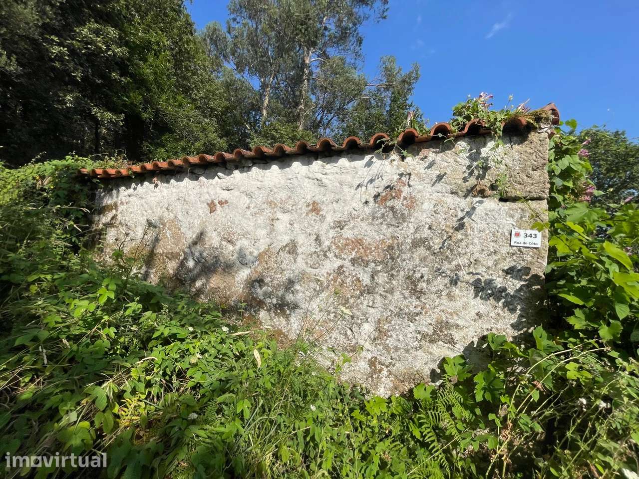 Propriedade com Duas Moradias em Ruína e Terreno boscoso em Gondoriz, - Grande imagem: 4/20