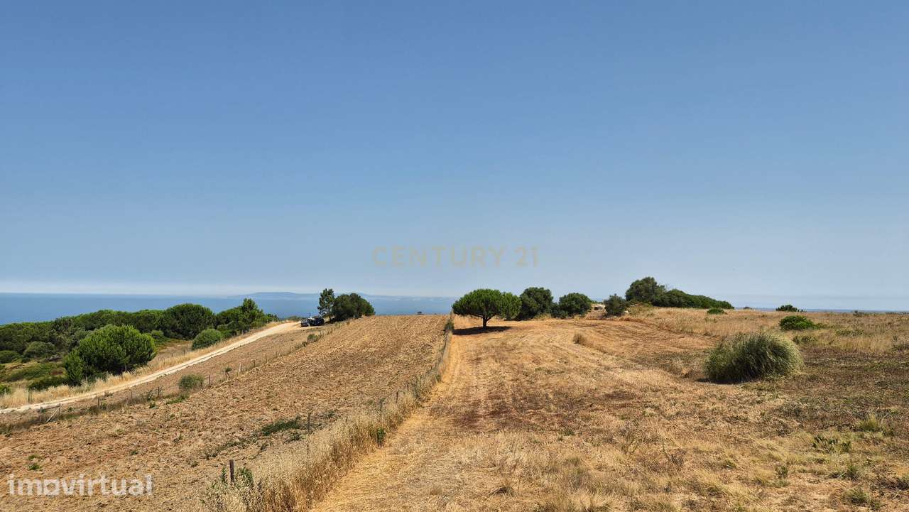 Terreno na Azoia (15.700 m²) | PIP Aprovado para Moradia + Cave | Vist - Grande imagem: 3/20