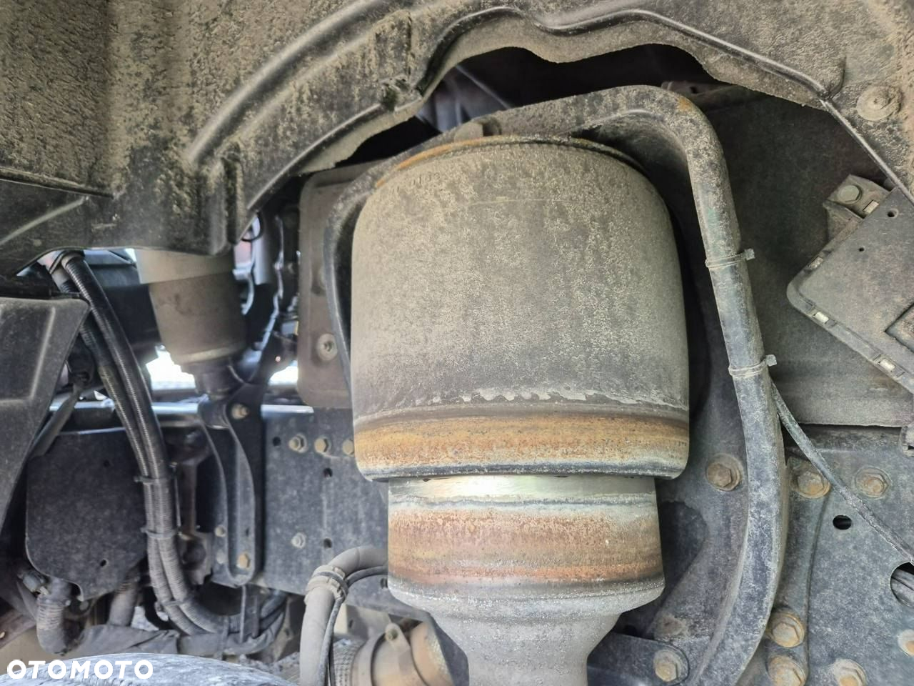 MAN Tgx - 12