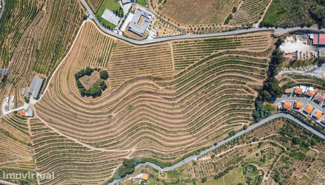 Quinta para venda em Lamego na região do Douro - Grande imagem: 5/25