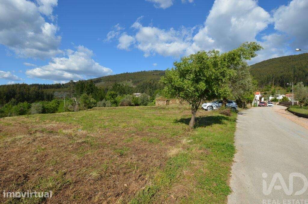 Terreno para construção em São Miguel, Santa Eufémia e Rabaçal - Grande imagem: 4/13